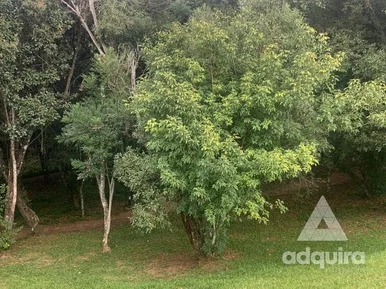 Terreno à Venda 300m², Jardim Carvalho, Ponta Grossa - Pr