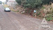 <strong>Terreno à venda 424.3M², Estrela, Ponta Grossa - PR</strong>