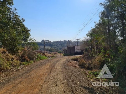 Foto Terreno