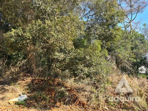 Foto Terreno