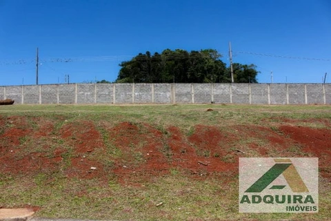 Foto Terreno