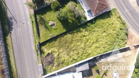 Foto Terreno