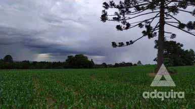 Terreno à Venda 213356m², Guaragi, Ponta Grossa - Pr