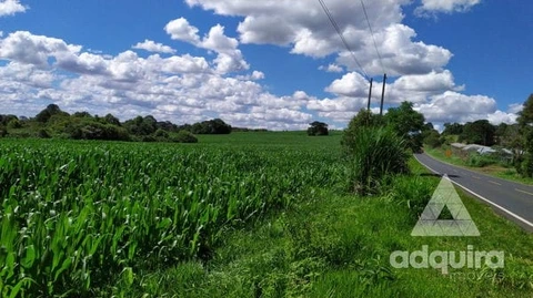 Foto Terreno
