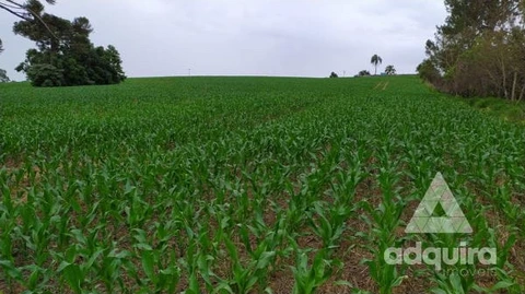 Foto Terreno