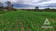 <strong>Terreno à venda 213356M², Guaragi, Ponta Grossa - PR</strong>