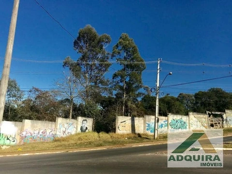 Foto Terreno