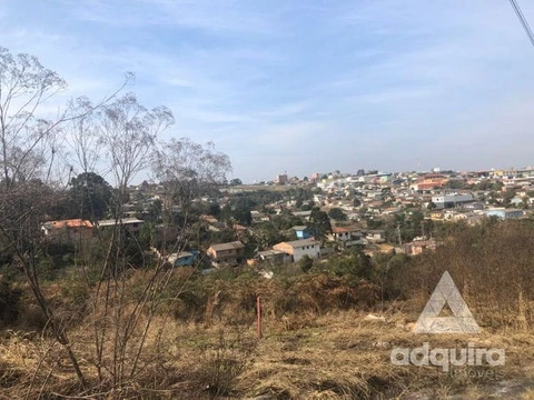 Foto Terreno
