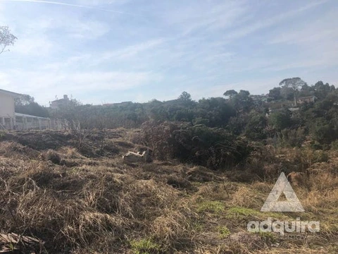 Foto Terreno