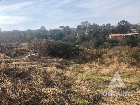 Foto Terreno