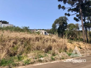 Terreno à Venda 802.26m², Estrela, Ponta Grossa - Pr