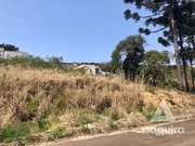 <strong>Terreno à venda 802.26M², Estrela, Ponta Grossa - PR</strong>