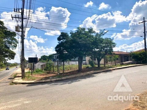 Foto Terreno