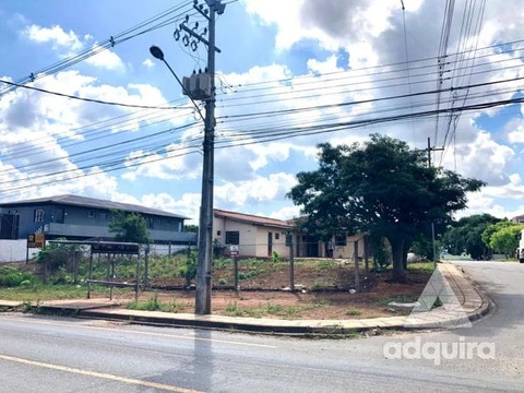 Foto Terreno