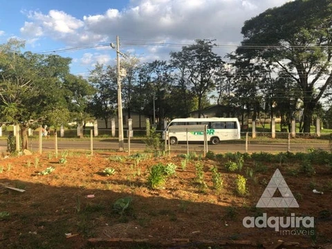 Foto Terreno