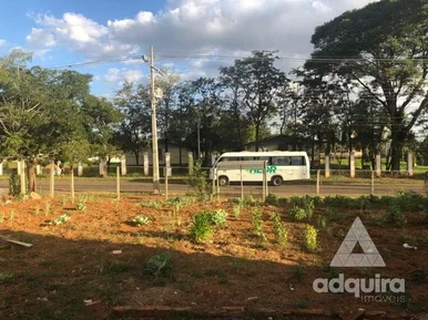 Terreno à Venda 498m², Uvaranas, Ponta Grossa - Pr