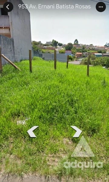 Foto Terreno