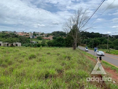 Foto Terreno