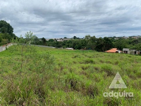 Foto Terreno