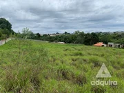<strong>Terreno à venda 8952M², Cará-cará, Ponta Grossa - PR</strong>
