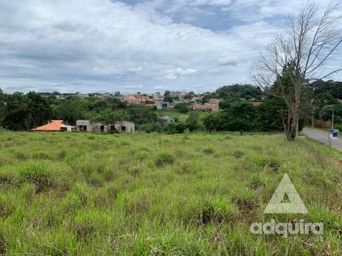 Foto Terreno