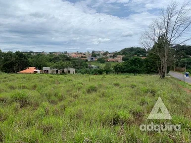 Terreno à Venda 8952m², Cará-cará, Ponta Grossa - Pr