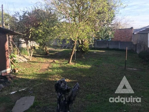 Foto Terreno