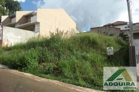 Foto Terreno