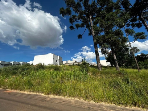 Foto Terreno