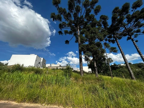 Foto Terreno