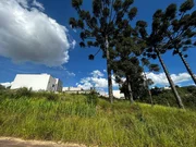 <strong>Terreno à venda - Jardim Alphaville, com 401,13m² de área to</strong>