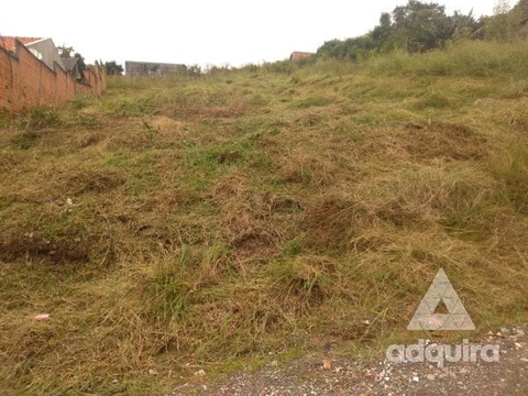 Foto Terreno