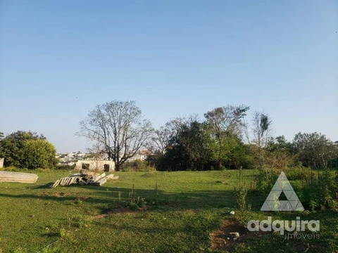 Foto Terreno