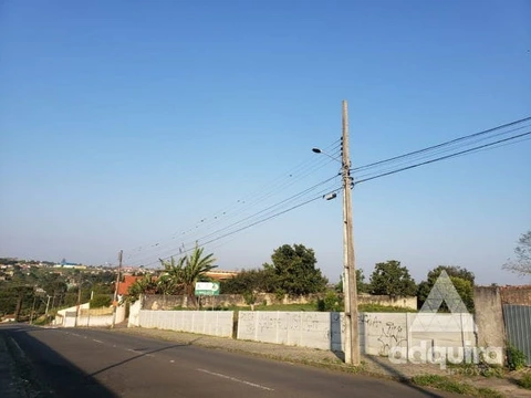 Foto Terreno