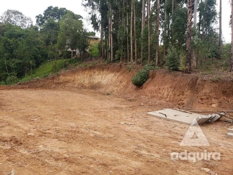 Foto Terreno