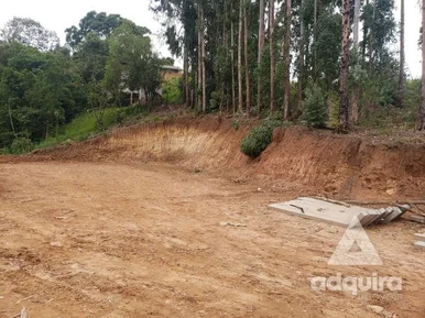 <strong>Terreno à venda 2156M², Nova Rússia, Ponta Grossa - PR</strong>