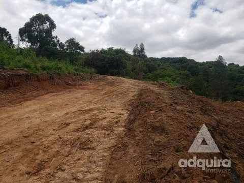 Foto Terreno