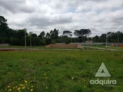 <strong>Terreno à venda 260M², Jardim Carvalho, Ponta Grossa - PR</strong>