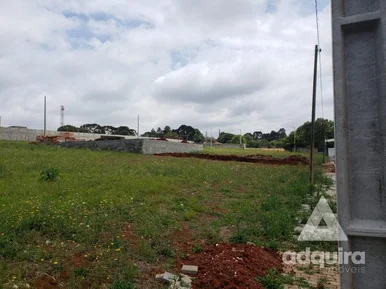 Terreno à Venda 260m², Jardim Carvalho, Ponta Grossa - Pr