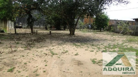 Foto Terreno
