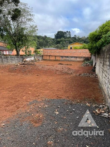 Foto Terreno