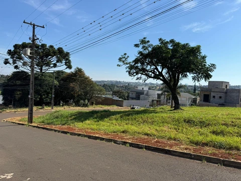 Foto Terreno