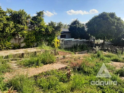 Foto Terreno