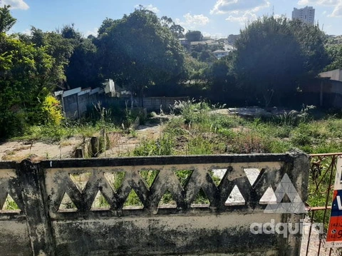 Foto Terreno