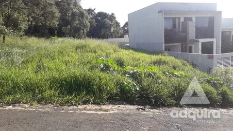 Foto Terreno