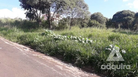Foto Terreno