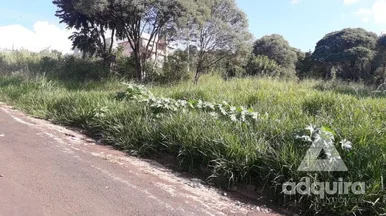 Terreno à Venda 457.5m², Estrela, Ponta Grossa - Pr