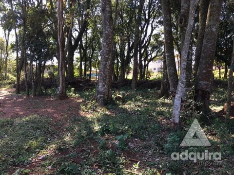 Foto Terreno