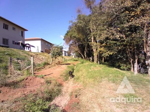 Foto Terreno