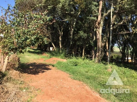 Foto Terreno